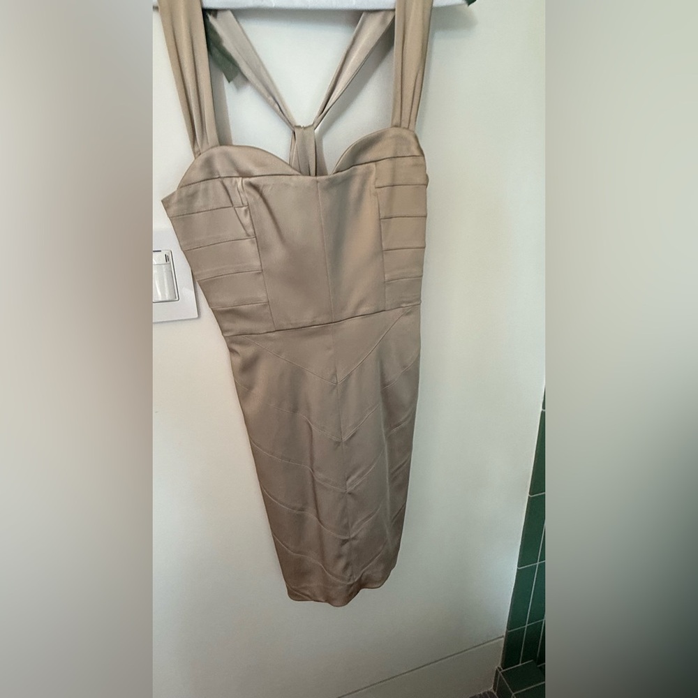 Vera Wang Lavender Label Strapless Dress in Tan